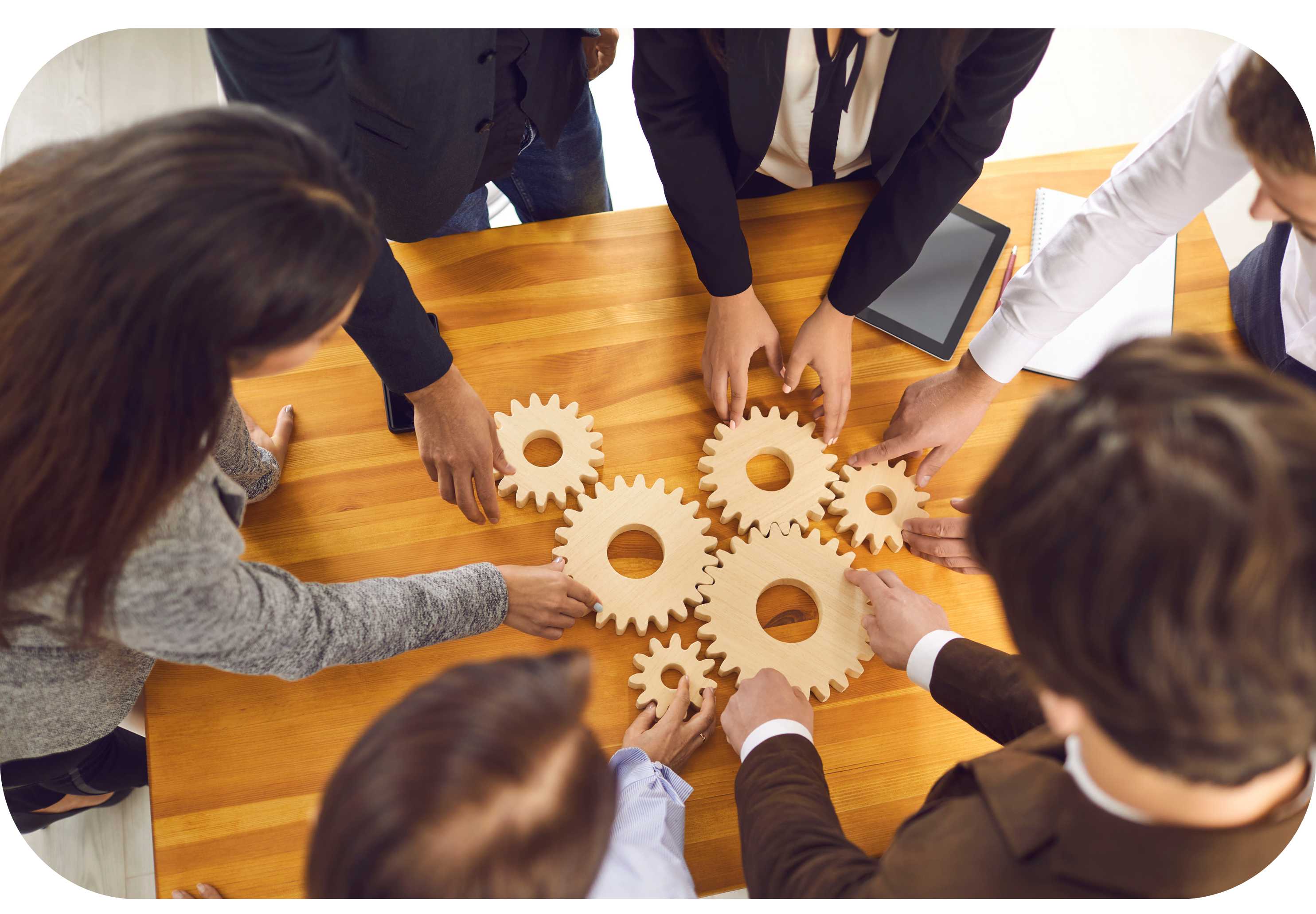 Our full-service expert team
